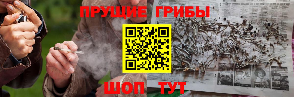 Саров  наркошоп  Вход с VPN  Галлюциногенные грибы Magic Shrooms 